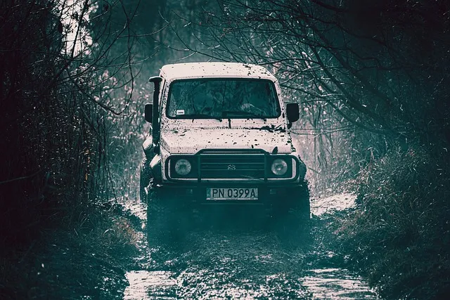 4x4-truck-640x480-34628071.jpeg
