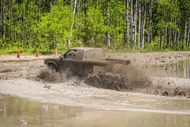 4x4-truck-640x480-64208380.jpeg