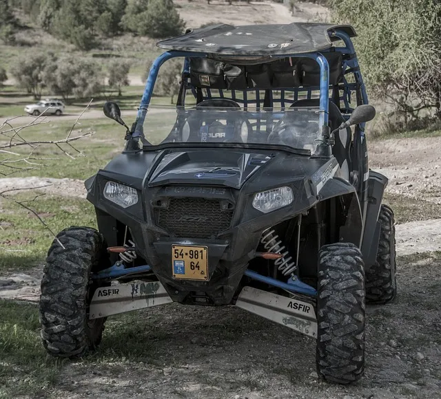 4x4-truck-640x480-65783359.jpeg