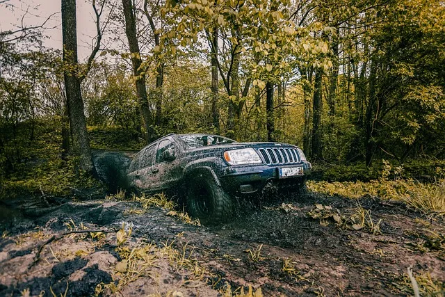 4x4-truck-640x480-97404395.jpeg