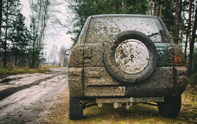 4x4-truck-640x480-24509324.jpeg