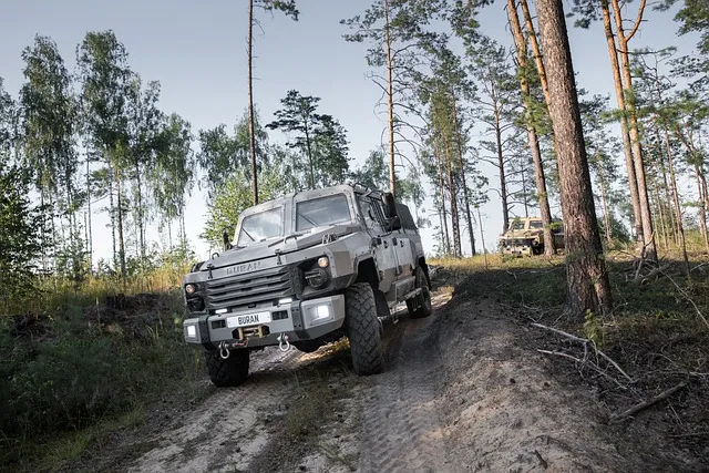 4x4-truck-640x480-33432921.jpeg