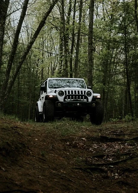 4x4-truck-640x480-37560001.jpeg