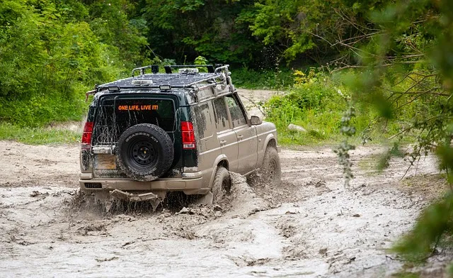 4x4-truck-640x480-65260101.jpeg