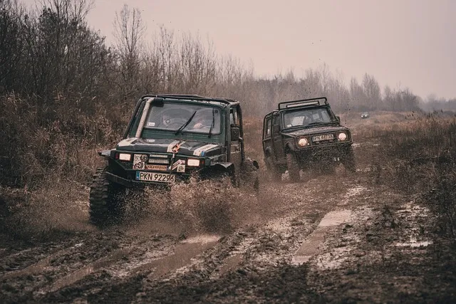 4x4-truck-640x480-13831906.jpeg