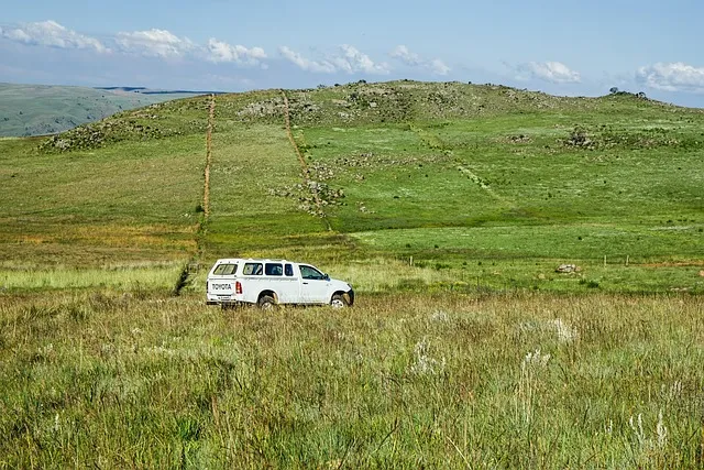 4x4-truck-640x480-69371606.jpeg