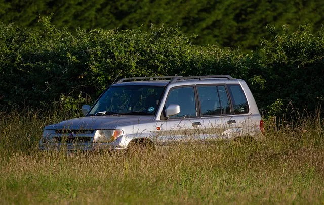 4x4-truck-640x480-7851442.jpeg