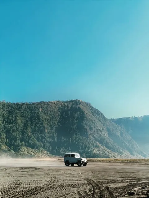 4x4-truck-640x480-21422216.jpeg
