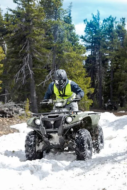 4x4-truck-640x480-19095396.jpeg