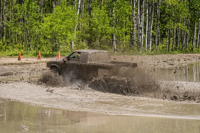 4x4-truck-640x480-23250702.jpeg