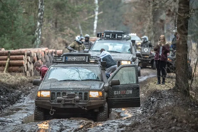 4x4-truck-640x480-43071724.jpeg
