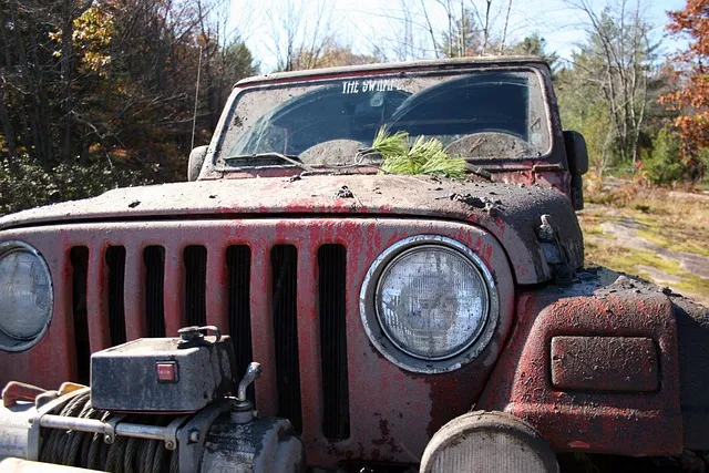 4x4-truck-640x480-6282576.jpeg