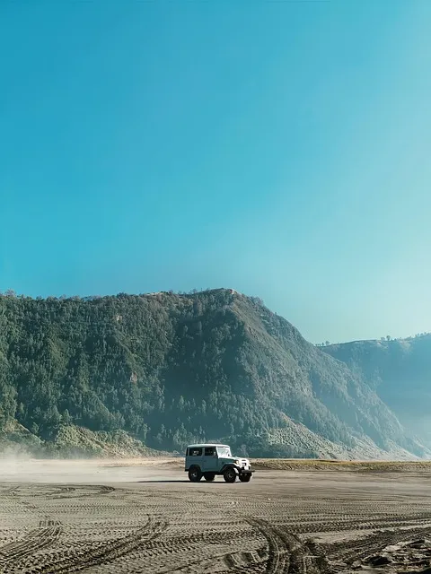 4x4-truck-640x480-79084978.jpeg
