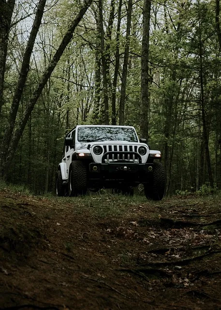 4x4-truck-640x480-37166214.jpeg