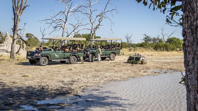 Brownsville Jeep Wrangler Restoration: Upgrade, Save, Dominate Trails